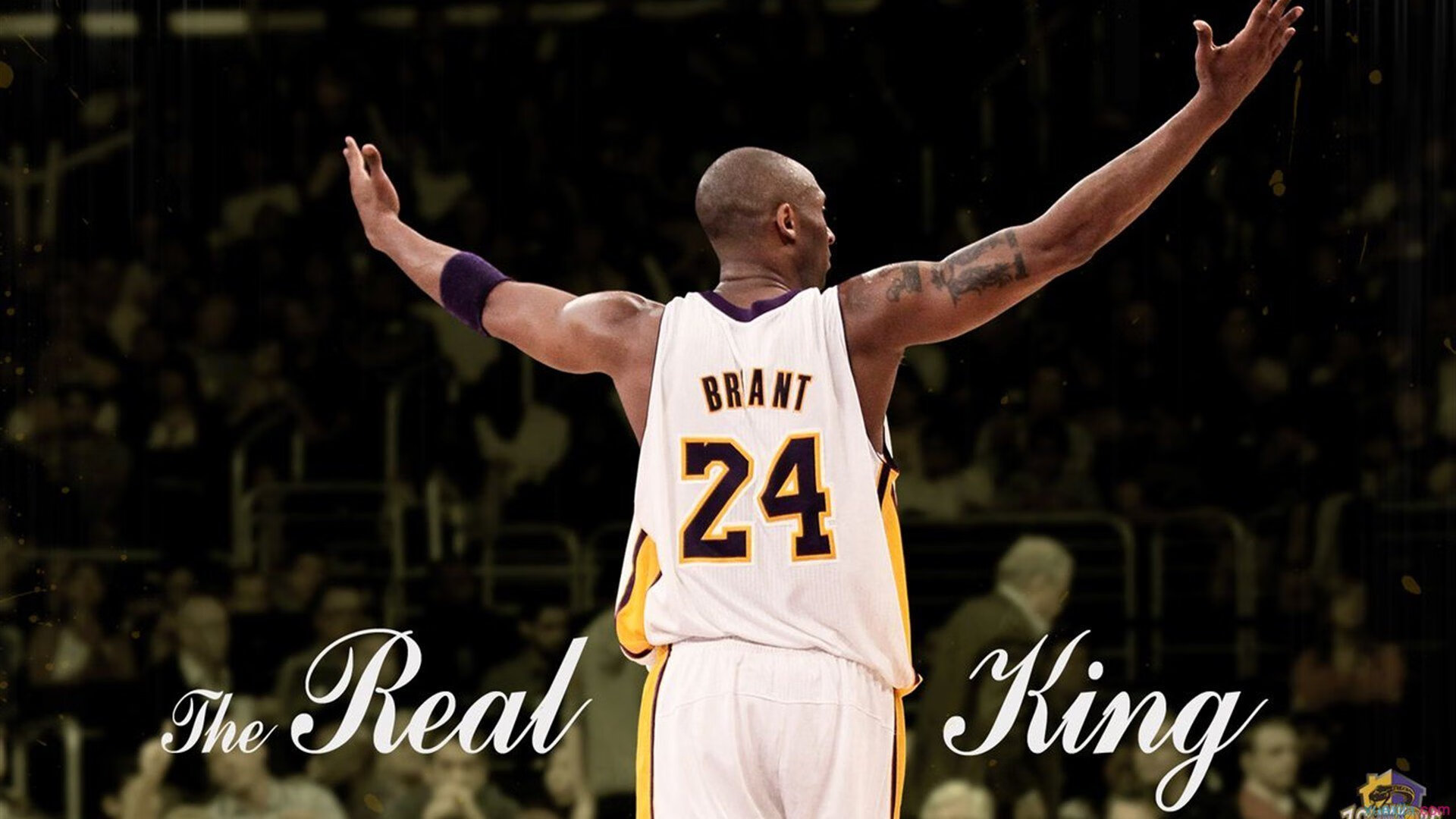 NBA布里奇斯持球投篮训练揭秘：让你的投篮更加精准